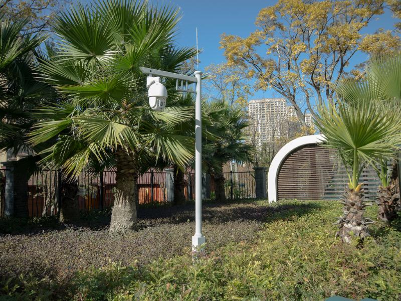 云南監控桿廠家